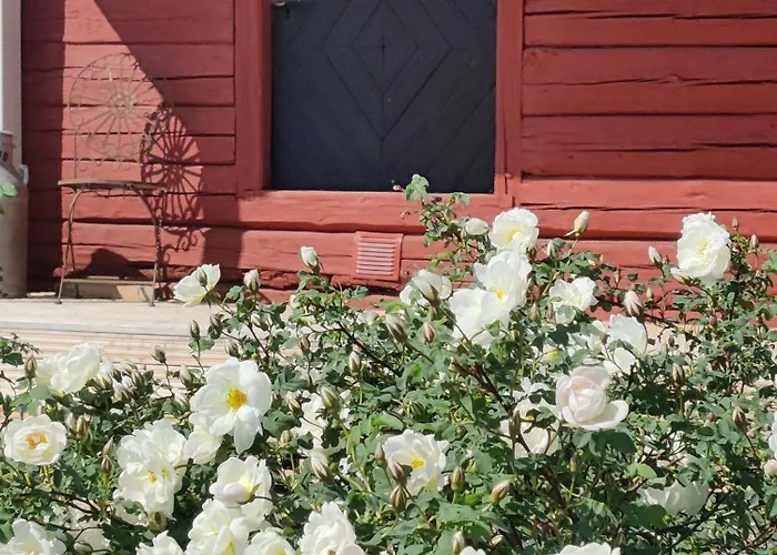 Haemeenniemi Aitta, Barn Heinola